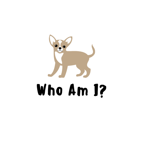Who are YOU?