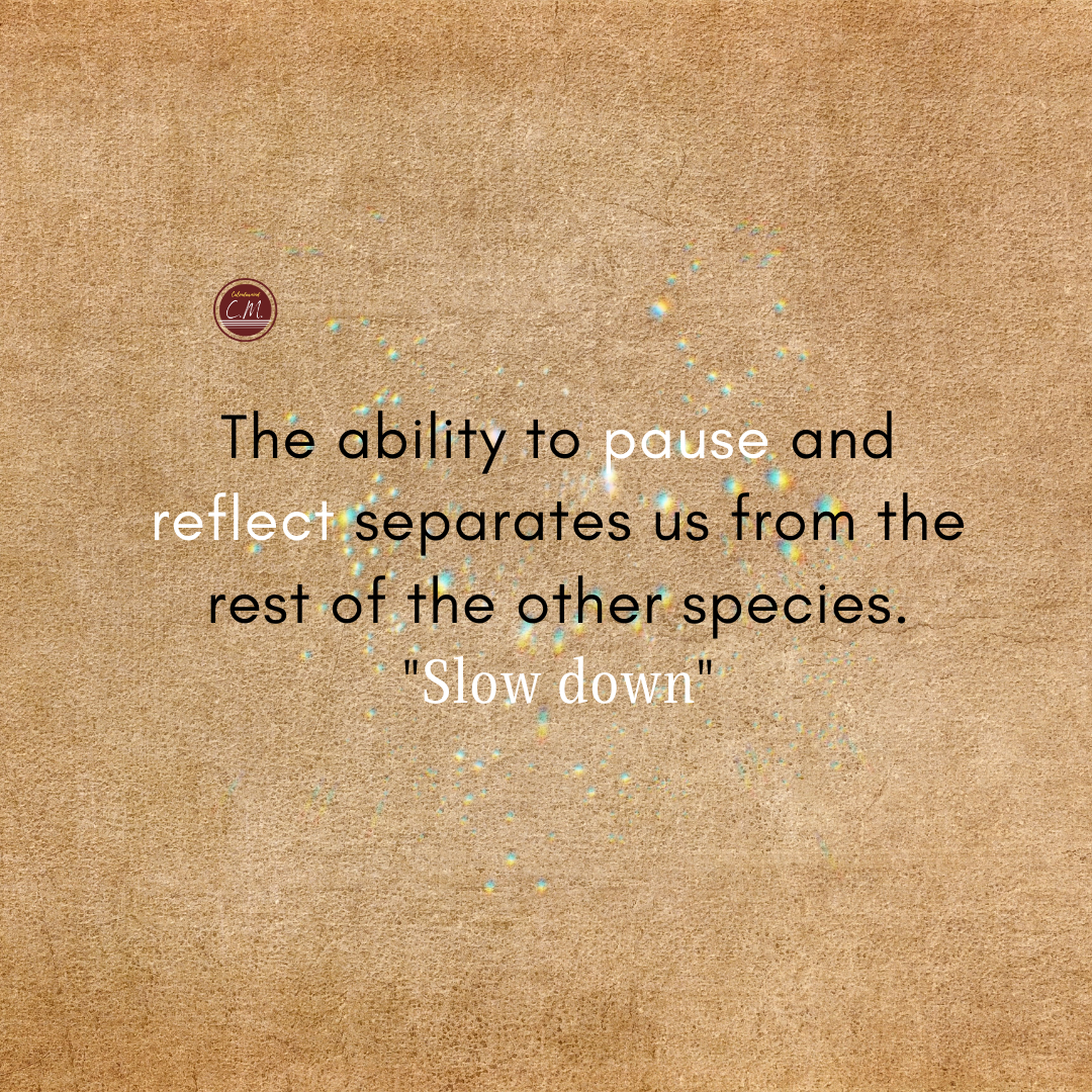 Daily Quotes