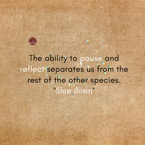 Daily Quotes