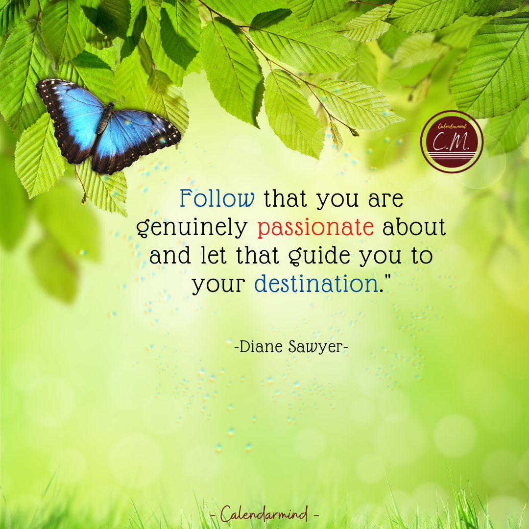 Daily Quotes