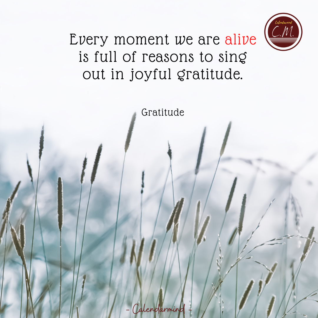 Daily Quotes