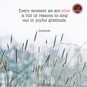 Daily Quotes