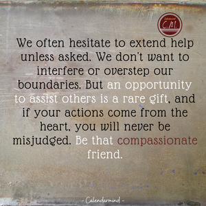 Daily Quotes