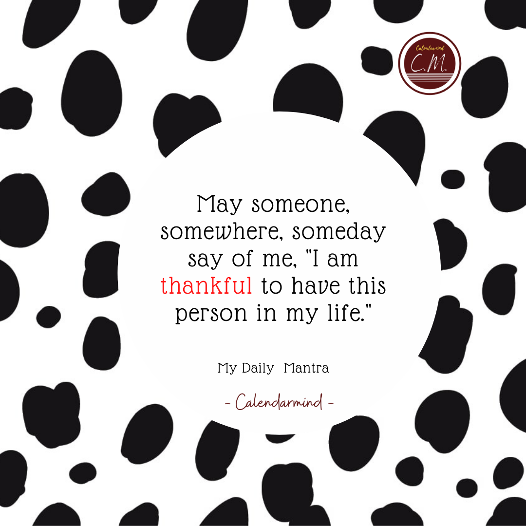 Daily Quotes