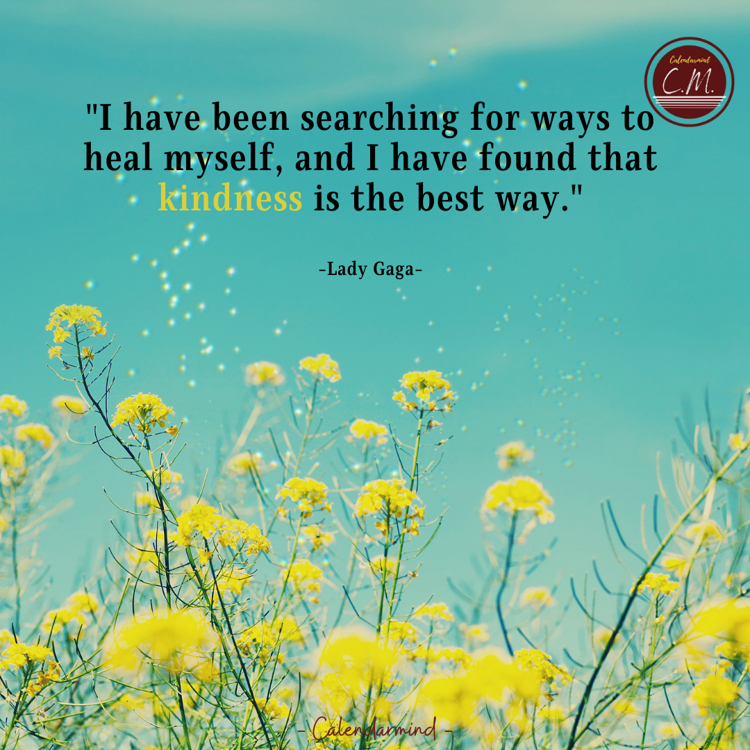 Daily Quotes