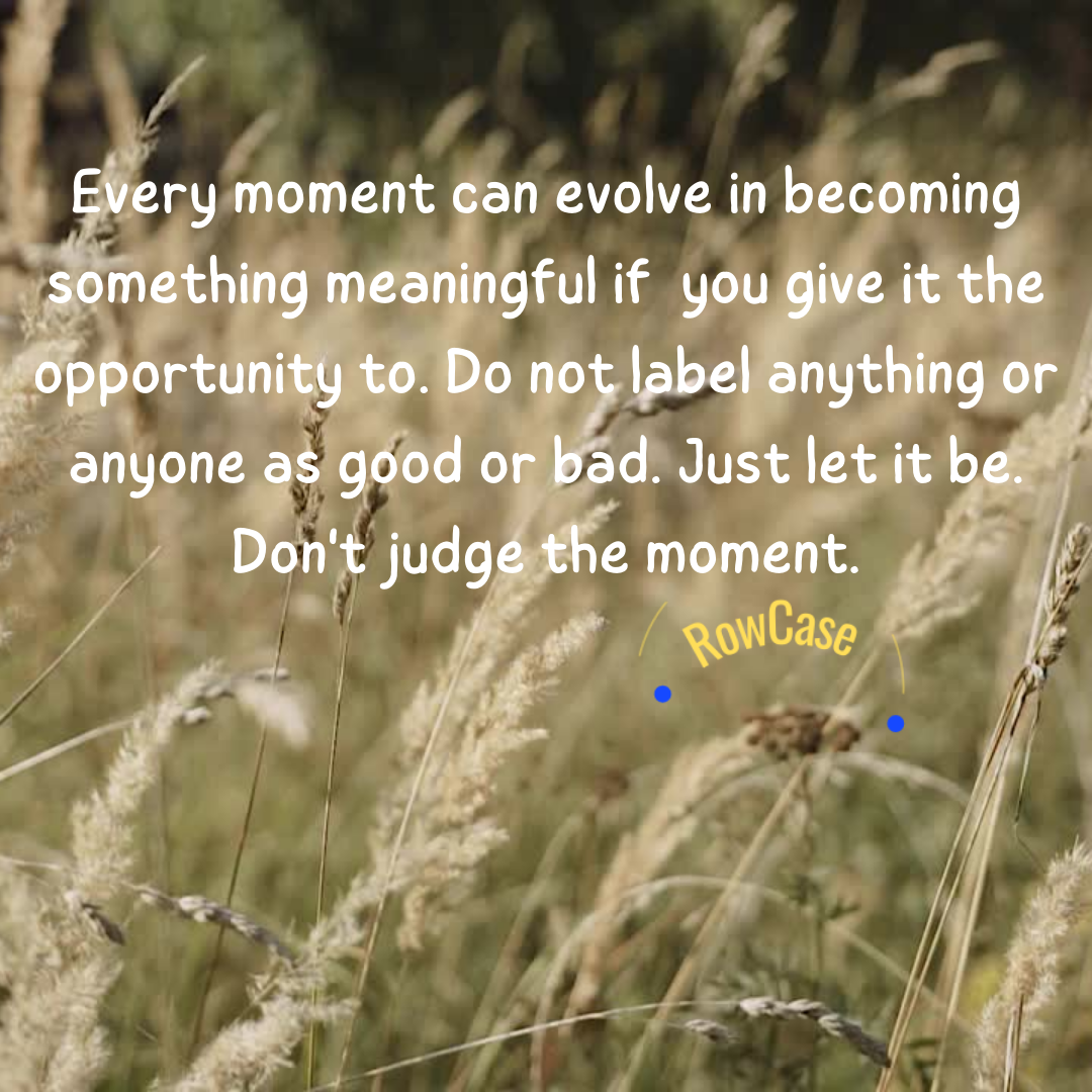 Daily Quotes